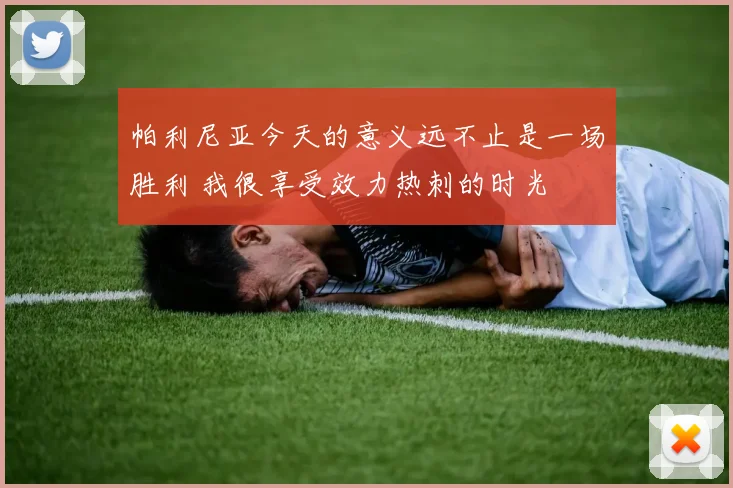 帕利尼亚今天的意义远不止是一场胜利 我很享受效力热刺的时光